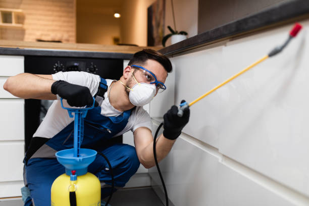 Best Best Pest Control Companies  in Murrieta, CA