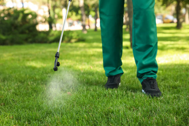 Best Wildlife Control Services  in Murrieta, CA